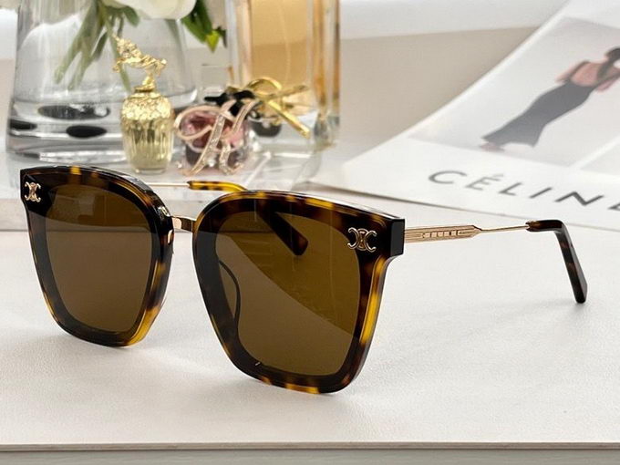 Celine Sunglasses ID:20230724-155